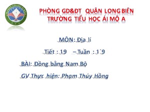 Bài giảng Địa lí Lớp 4 - Tiết 19: Đồng bằng Nam Bộ - Phạm Thúy Hồng