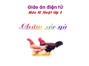 Bài giảng Kĩ thuật Lớp 5 - Tiết 20: Chăm sóc gà