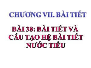 Bài giảng Sinh học Khối 8 - Bài 38: Bài tiết và cấu tạo hệ bài tiết nước tiểu