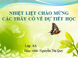 Bài giảng Sinh học Lớp 6 - Bài 19: Đặc điểm bên ngoài của lá - Nguyễn Thị Quý