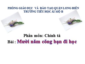 Bài giảng Chính tả Khối 4 - Tuần 2: Nghe viết Mười năm cõng bạn đi học - Năm học 2020-2021 - Trường Tiểu học Ái Mộ B