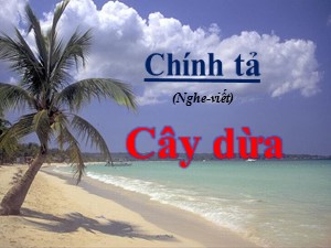 Bài giảng Chính tả Lớp 2 - Tuần 28: Cây dừa - Trường Tiểu học Ái Mộ B