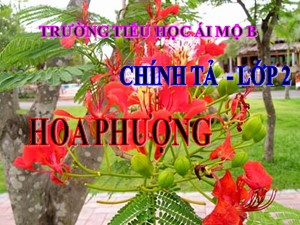 Bài giảng Chính tả Lớp 2 - Tuần 29: Hoa phượng - Trường Tiểu học Ái Mộ B