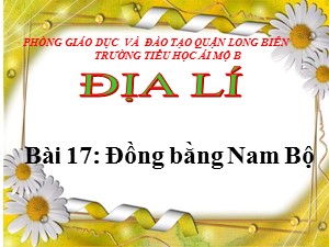 Bài giảng Địa lí Lớp 4 - Bài 17: Đồng bằng Nam Bộ - Năm học 2020-2021 - Trường Tiểu học Ái Mộ B