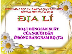 Bài giảng Địa lí Lớp 4 - Bài 20: Hoạt động sản xuất của người dân ở đồng bằng Nam Bộ (Tiết 2) - Năm học 2020-2021 - Trường Tiểu học Ái Mộ B