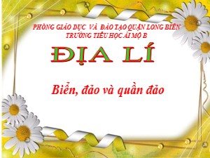 Bài giảng Địa lí Lớp 4 - Bài 29: Biển, đảo và quần đảo - Năm học 2020-2021 - Trường Tiểu học Ái Mộ B