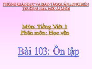 Bài giảng Học vần Lớp 1 - Bài 103: Ôn tập - Trường Tiểu học Ái Mộ B