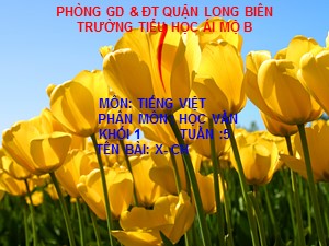 Bài giảng Học vần Lớp 1 - Bài 18: x-ch - Trường Tiểu học Ái Mộ B