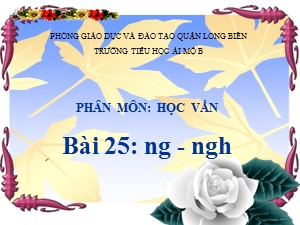 Bài giảng Học vần Lớp 1 - Bài 25: ng-ngh - Trường Tiểu học Ái Mộ B