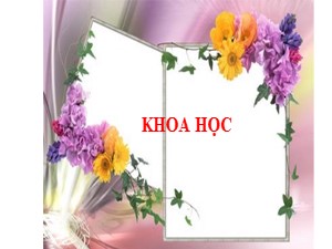 Bài giảng Khoa học Lớp 4 - Bài 11: Một số cách bảo quản thức ăn - Năm học 2020-2021