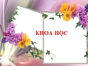 Bài giảng Khoa học Lớp 4 - Bài 11: Một số cách bảo quản thức ăn - Năm học 2020-2021 - Trường Tiểu học Ái Mộ B