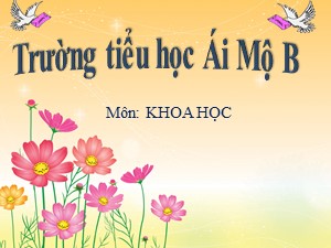 Bài giảng Khoa học Lớp 4 - Bài 49: Ánh sáng và việc bảo vệ đôi mắt - Năm học 2020-2021 - Trường Tiểu học Ái Mộ B