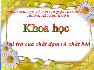 Bài giảng Khoa học Lớp 4 - Bài 5: Vai trò của chất đạm và chất béo - Năm học 2020-2021 - Trường Tiểu học Ái Mộ B