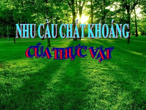 Bài giảng Khoa học Lớp 4 - Bài 59: Nhu cầu chất khoáng của thực vật - Năm học 2020-2021 - Trường Tiểu học Ái Mộ B