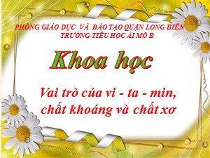 Bài giảng Khoa học Lớp 4 - Bài 6: Vai trò của vi-ta-min, chất khoáng và chất xơ - Năm học 2020-2021 - Trường Tiểu học Ái Mộ B