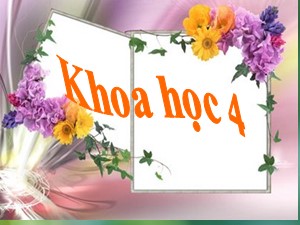 Bài giảng Khoa học Lớp 4 - Bài 60: Nhu cầu không khí của thực vật - Năm học 2020-2021 - Trường Tiểu học Ái Mộ B