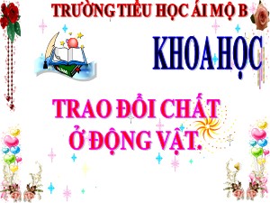 Bài giảng Khoa học Lớp 4 - Bài 64: Trao đổi chất ở động vật - Năm học 2020-2021 - Trường Tiểu học Ái Mộ B