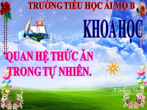 Bài giảng Khoa học Lớp 4 - Bài 65: Quan hệ thức ăn trong tự nhiên - Năm học 2020-2021 - Trường Tiểu học Ái Mộ B