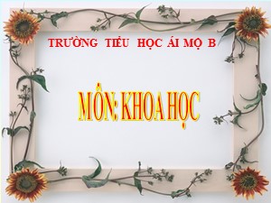 Bài giảng Khoa học Lớp 4 - Bài 66: Chuỗi thức ăn trong tự nhiên - Năm học 2020-2021 - Trường Tiểu học Ái Mộ B