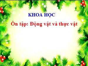 Bài giảng Khoa học Lớp 4 - Bài 67+68: Ôn tập Động vật và thực vật - Năm học 2020-2021 - Trường Tiểu học Ái Mộ B