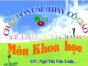 Bài giảng Khoa học Lớp 4 - Bài 8: Sử dụng thức ăn sạch và an toàn - Ngô Thị Vân Linh