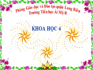 Bài giảng Khoa học Lớp 4 - Bài 8: Tại sao cần ăn phối hợp đạm động vật và đạm thực vật? - Năm học 2020-2021 - Trường Tiểu học Ái Mộ B