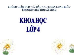 Bài giảng Khoa học Lớp 4 - Bài 9: Sử dụng hợp lí các chất béo và muối ăn - Năm học 2020-2021 - Trường Tiểu học Ái Mộ B