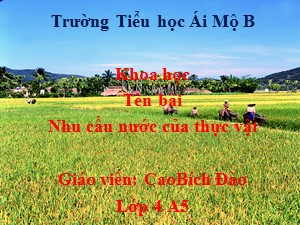 Bài giảng Khoa học Lớp 4 - Tuần 29: Nhu cầu nước của thực vật - Cao Bích Đào