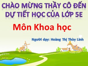 Bài giảng Khoa học Lớp 5 - Bài 16: Phòng tránh HIV / AIDS - Hoàng Thị Thùy Linh