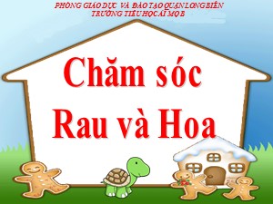 Bài giảng Kĩ thuật Lớp 4 - Tuần 25: Chăm sóc rau, hoa - Năm học 2020-2021 - Trường Tiểu học Ái Mộ B