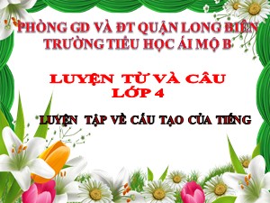 Bài giảng Luyện từ và câu Lớp 4 - Tuần 1: Luyện tập về cấu tạo của tiếng - Năm học 2020-2021 - Trường Tiểu học Ái Mộ B