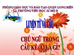 Bài giảng Luyện từ và câu Lớp 4 - Tuần 25: Chủ ngữ trong câu kể Ai là gì? - Năm học 2020-2021 - Trường Tiểu học Ái Mộ B