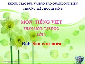 Bài giảng Tập đọc Lớp 1- Tuần 32: Sau cơn mưa - Năm học 2020-2021 - Trường Tiểu học Ái Mộ B