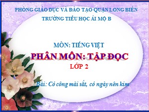 Bài giảng Tập đọc Lớp 2 - Tuần 1: Có công mài, sắt có ngày nên kim - Năm học 2020-2021 - Trường Tiểu học Ái Mộ B