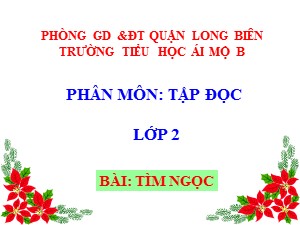 Bài giảng Tập đọc Lớp 2 - Tuần 17: Tìm ngọc - Trường Tiểu học Ái Mộ B