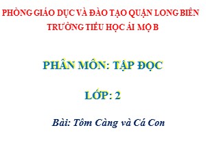 Bài giảng Tập đọc Lớp 2 - Tuần 26: Tôm Càng và Cá Con - Năm học 2020-2021 - Trường Tiểu học Ái Mộ B