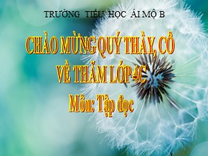 Bài giảng Tập đọc Lớp 4 - Tuần 27: Dù sao trái đất vẫn quay - Trường Tiểu học Ái Mộ B