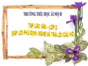 Bài giảng Tập làm văn Lớp 2 - Tuần 24: Đáp lời phủ định, nghe và trả lời câu hỏi - Trường Tiểu học Ái Mộ B