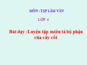 Bài giảng Tập làm văn Lớp 4 - Tuần 23: Luyện tập miêu tả bộ phận của cây cối - Trường Tiểu học Ái Mộ B