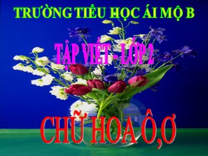 Bài giảng Tập viết Lớp 2 - Tuần 17: Chữ hoa Ô, Ơ - Trường Tiểu học Ái Mộ B