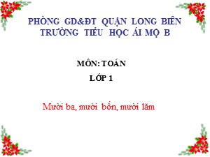 Bài giảng Toán Lớp 1 - Tuần 19: Mười ba, mười bốn, mười lăm - Trường Tiểu học Ái Mộ B