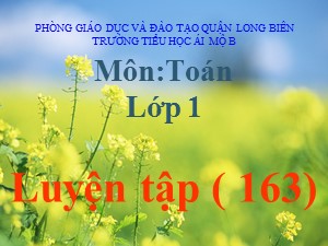 Bài giảng Toán Lớp 1 - Tuần 30: Luyện tập trang 163 - Năm học 2020-2021 - Trường Tiểu học Ái Mộ B