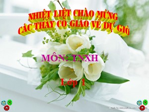 Bài giảng Tự nhiên và xã hội Lớp 1 - Bài 15: Các giác quan (Tiết 4) - Năm học 2020-2021 - Trường Tiểu học Ái Mộ B