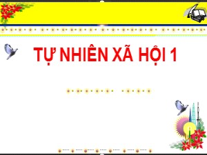 Bài giảng Tự nhiên và xã hội Lớp 1 - Bài 6: Nơi em sống - Năm học 2020-2021 - Trường Tiểu học Ái Mộ B