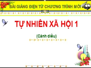 Bài giảng Tự nhiên và xã hội Lớp 1 - Bài 7: Tết Nguyên Đán - Năm học 2020-2021 - Trường Tiểu học Ái Mộ B