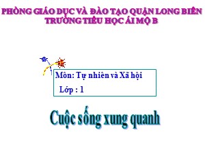 Bài giảng Tự nhiên và xã hội Lớp 1 - Tuần 19: Cuộc sống xung quanh - Trường Tiểu học Ái Mộ B