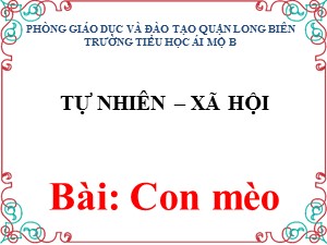 Bài giảng Tự nhiên và xã hội Lớp 1 - Tuần 27: Con mèo - Trường Tiểu học Ái Mộ B