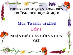 Bài giảng Tự nhiên và xã hội Lớp 1 - Tuần 29: Nhận biết cây cối và con vật - Năm học 2011-2012 - Trường Tiểu học Ái Mộ B