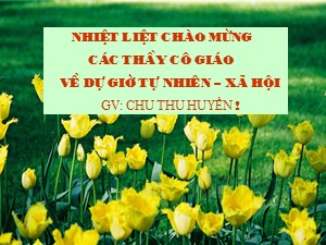 Bài giảng Tự nhiên và xã hội Lớp 2 - Bài 25: Một số loài cây sống trên cạn - Chu Thị Thu Huyền