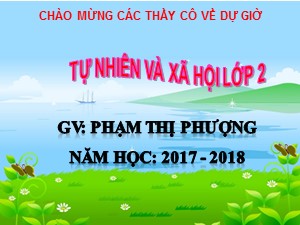 Bài giảng Tự nhiên và xã hội Lớp 2 - Bài 7: Ăn uống đầy đủ - Năm học 2017-2018 - Phạm Thị Phượng